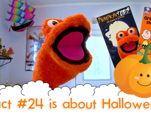 The Fact a Day – #24 – Where Did Pumpkins Originally Come From?