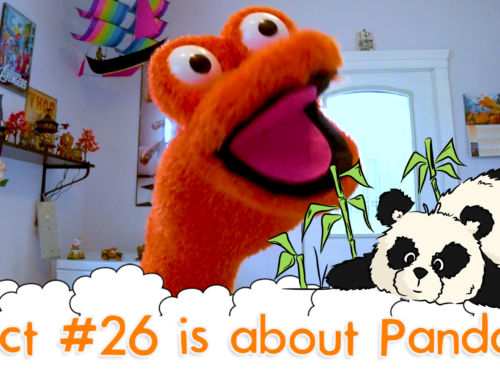 The Fact a Day – #26 – What are a Pandas Black and White Spots For?
