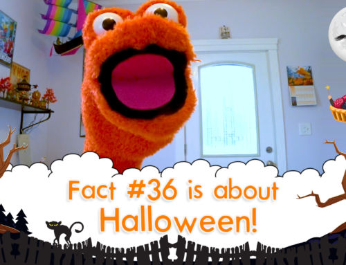 What Does The Name Halloween Mean? – The Fact a Day – #36