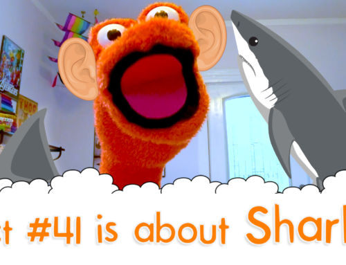 Do Sharks Have Any Bones? – The Fact a Day – #41