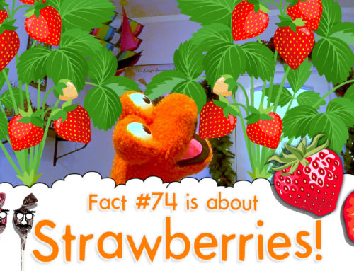 Why Do We Call Strawberries “Strawberries”? – The Fact a Day – #74