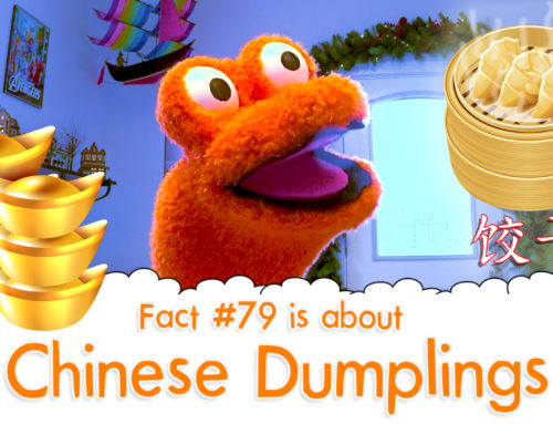 Do Chinese Dumplings Have a Special Meaning? – The Fact a Day – #79