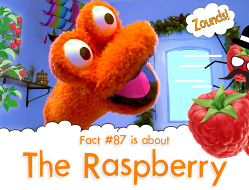 Why Do We Call Raspberries “Raspberries”? – The Fact a Day – #87