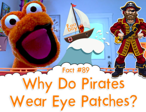 Why Do Pirates Wear Eye Patches? – The Fact a Day – #89