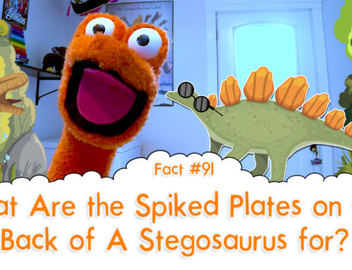 What Are the Spiked Plates on the Back of A Stegosaurus for? – The Fact a Day – #91