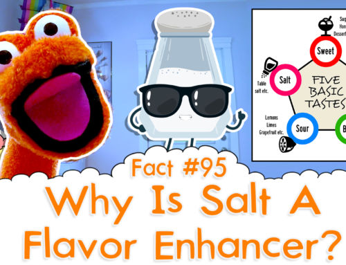 Why Is Salt A Flavor Enhancer? – The Fact a Day – #95