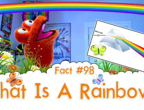 What Is A Rainbow? – The Fact a Day – #98