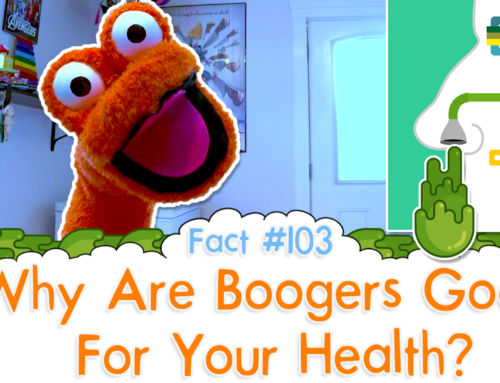 Why Are Boogers Good For Your Health? – The Fact a Day – #103