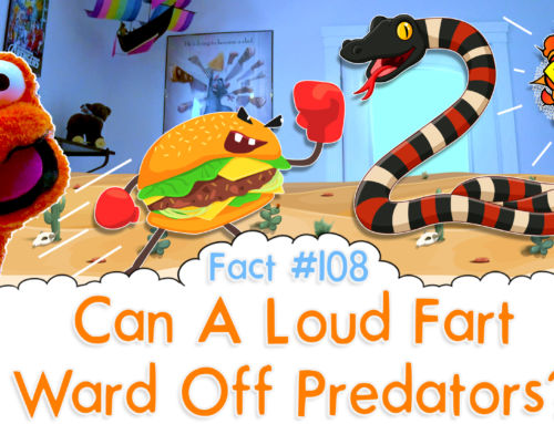 Can A Loud Fart Ward Off Predators? – The Fact a Day – #108