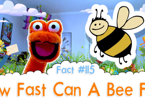 How Fast Can A Honey Bee Fly? – The Fact a Day – #115