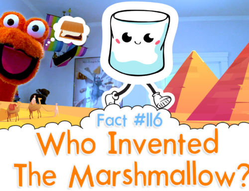 Who Invented The Marshmallow? – The Fact a Day – #116