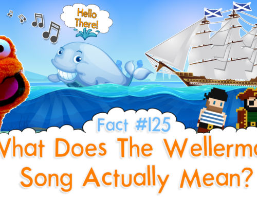 What Does The Wellerman Song Actually Mean? – The Fact a Day – #125