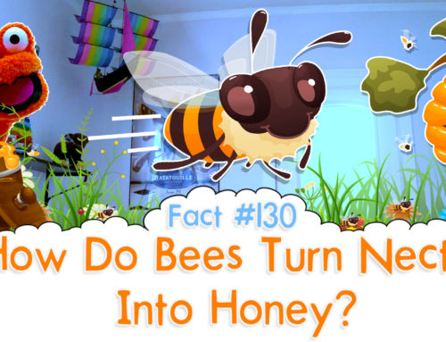 How Do Bees Turn Nectar Into Honey? – The Fact a Day – #130