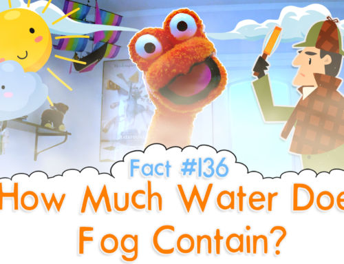 How Much Water Does Fog Contain? – The Fact a Day – #136