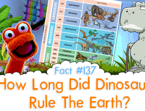 How Long Did Dinosaurs Rule The Earth? – The Fact a Day – #137