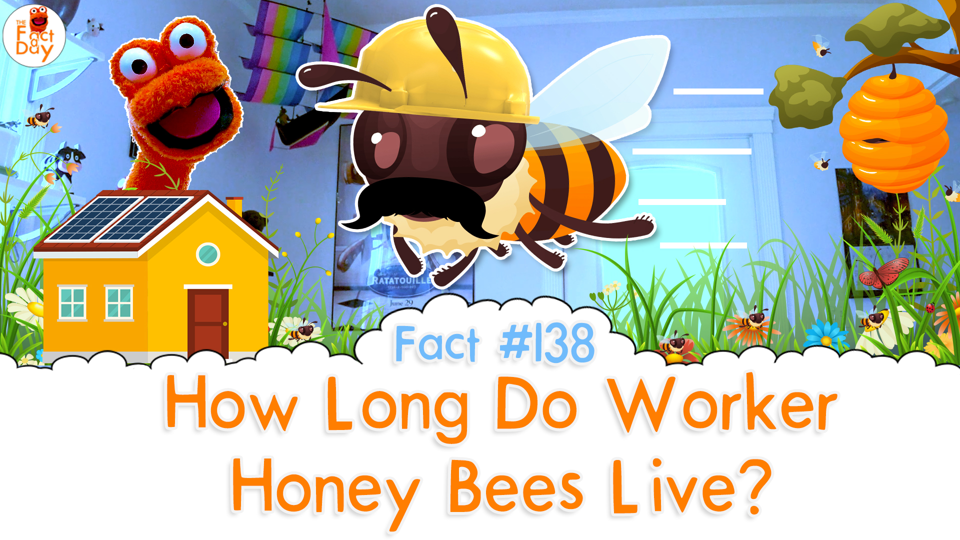 How Long Do Worker Honey Bees Live? The Fact a Day 138 The Fact