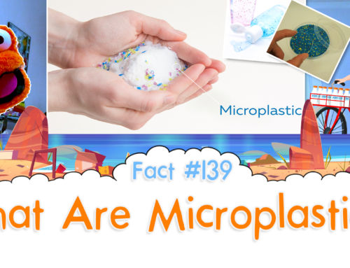 What Are Microplastics? – The Fact a Day – #139
