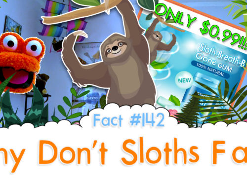 Why Don’t Sloths Fart? – The Fact a Day – #142