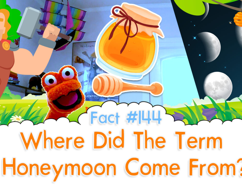 What Does The Wellerman Song Actually Mean? The Fact a Day 125