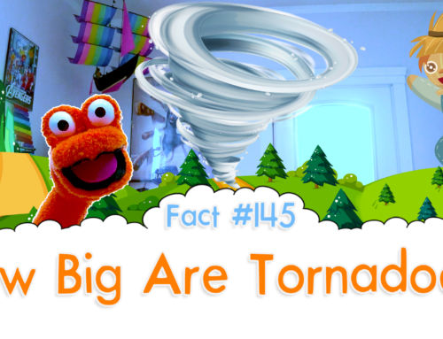 How Big Are Tornadoes? – The Fact a Day – #145