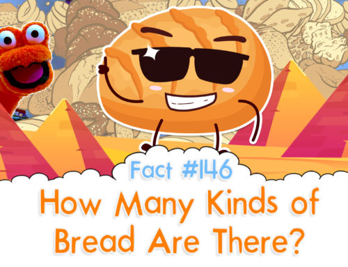 How Many Kinds of Bread Are There? – The Fact a Day – #146