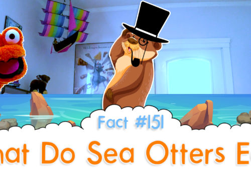 What Do Sea Otters Eat? – The Fact a Day – #151